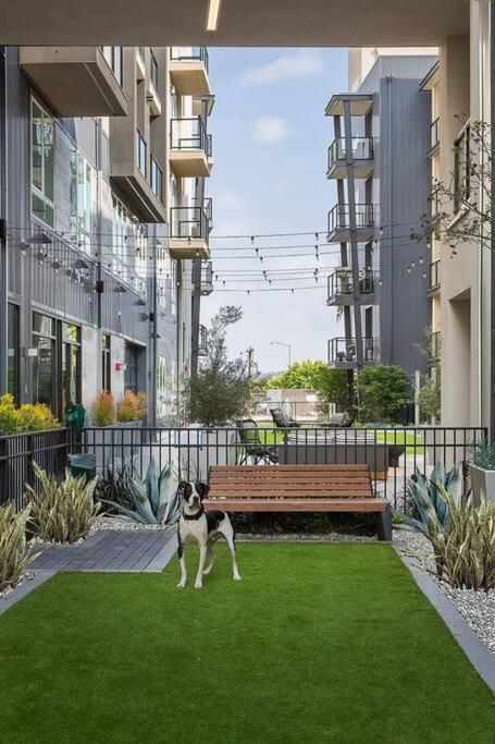Modern And Lavish Apartment เกลนเดล ภายนอก รูปภาพ